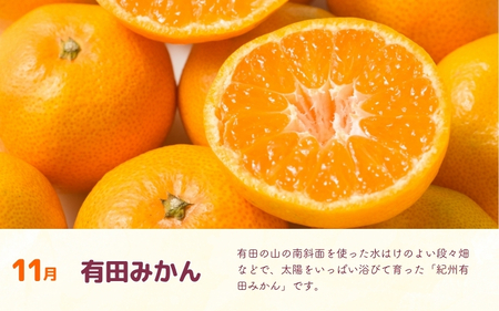 【定期便全3回】産直・和歌山フルーツ定期便（桃・ピオーネ・有田みかん）【TM92239-tkb413】