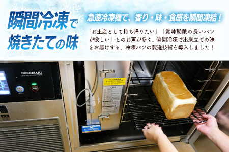 【5カ月定期便】4種類のパン焼きたての味直送便(H111111)