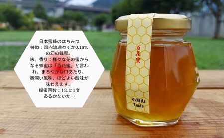 幻のはちみつ　2種セット 蜂蜜 はちみつ 
