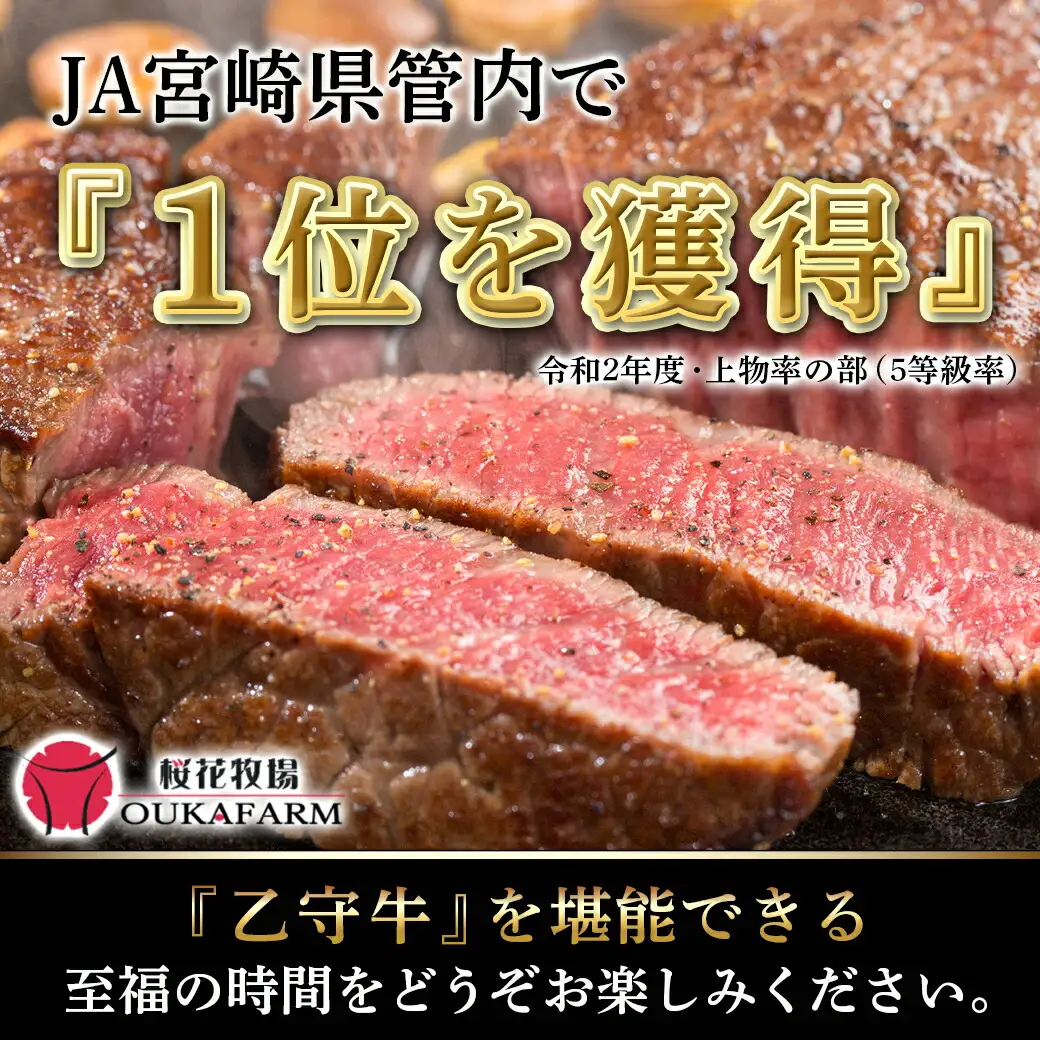 ≪限定200セット≫隔月6回お届け!【宮崎牛A5】焼肉6種盛り(乙守牛）〔T192-6-6501〕_(都城市) 都城産宮崎牛 A5 焼肉6種盛 各100g ロース/肩ロース/ウデ/バラ/モモ(赤身)/モモ(霜降り) 隔月6回お届け