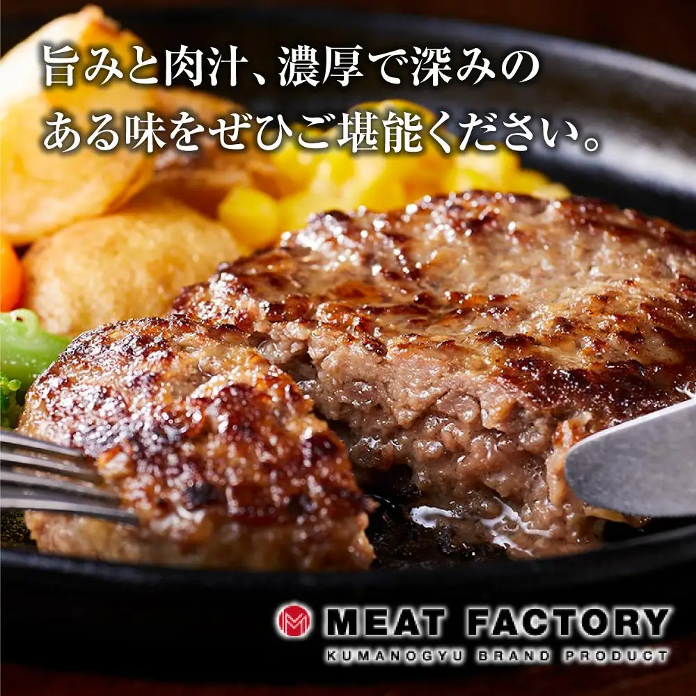 国産牛生ハンバーグ 10個入り