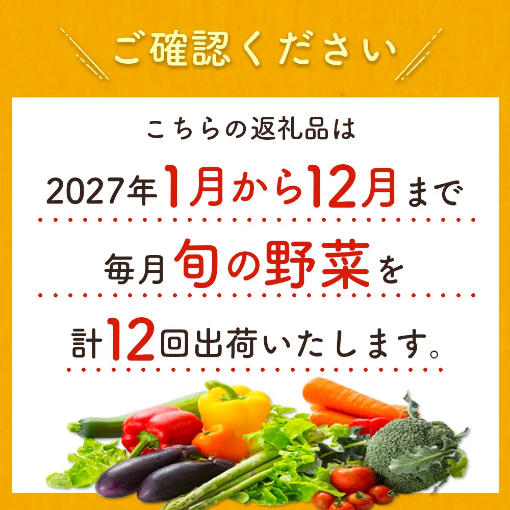 【12か月】野菜定期便 2027年出荷 野菜セット G51-27