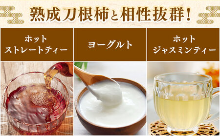 佐那河内村産 こだわりの刀根柿 500g 