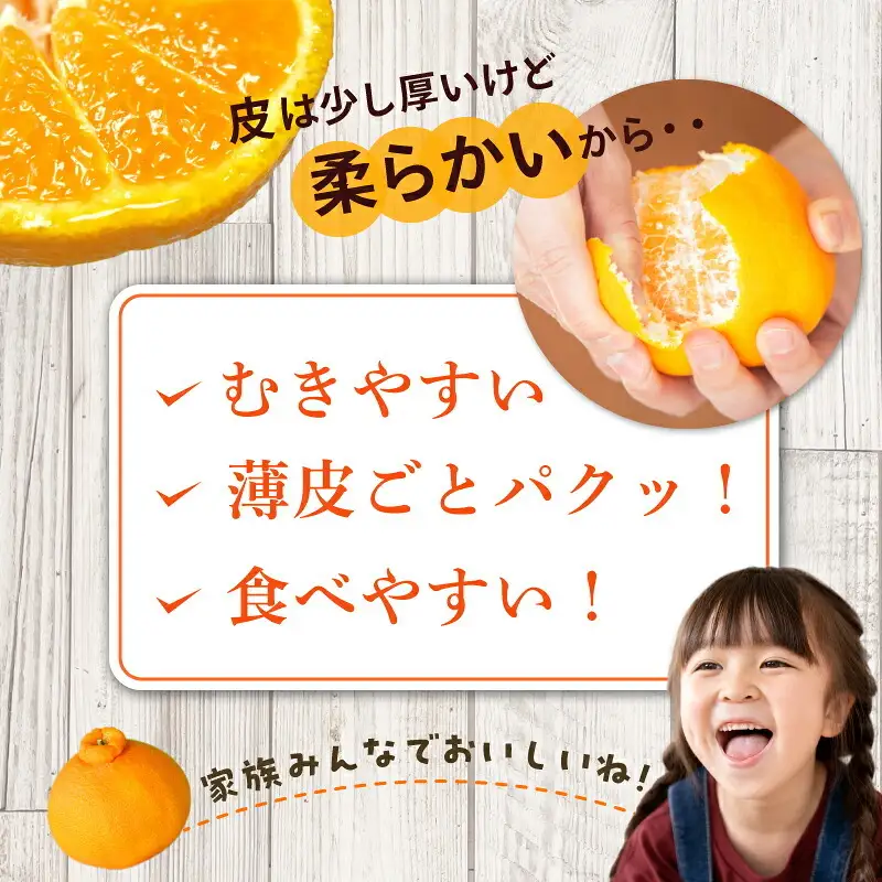 【2027年先行予約】「デコ」 不知火 約4.5kg 湯浅町田村産 (果実サイズおまかせ) 春みかん　紀伊国屋文左衛門本舗_V7076
