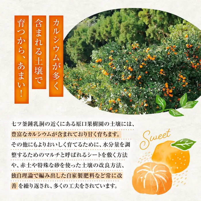 原口みかん 5kg みかん CCW001
