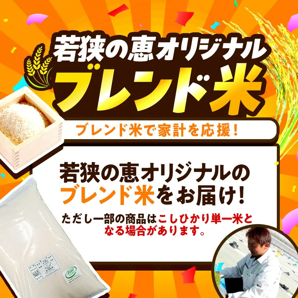 米【令和7年産】【訳あり】【数量限定】 家計応援米 10kg×1袋 / 小浜市 / 若狭の恵 [BFAG027]