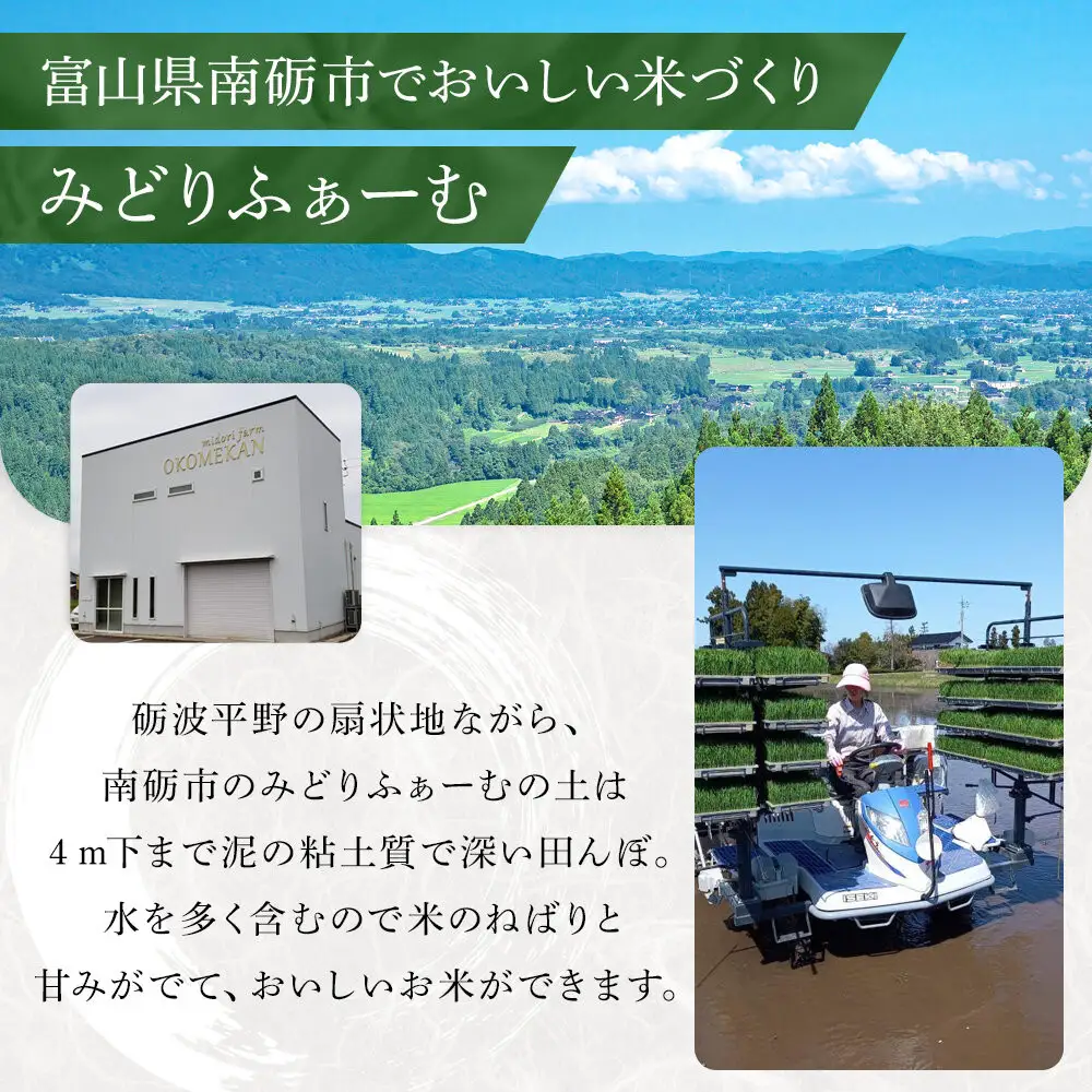 【令和8年産】みどりふぁーむのコシヒカリ 玄米 20kg