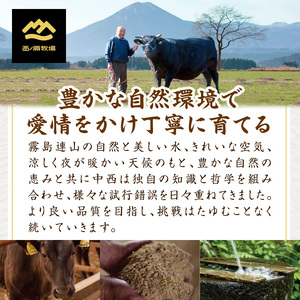 【A4等級以上】宮崎牛バラエティすき焼き用（約400g：西ノ原牧場）黒毛和牛 すき焼き 