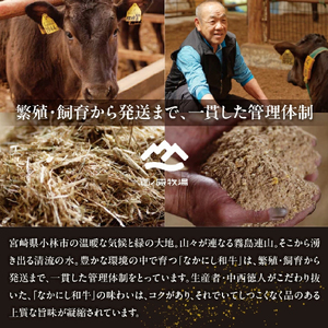 【4等級以上】黒毛和牛 なかにしプレミアム切り落とし 約800g 西ノ原牧場（牛肉 切り落とし） 