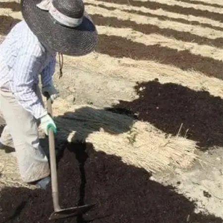 掛川の小さな茶農家直送　農業遺産茶草場実践工場　 深蒸し掛川茶『うぐいす』80g×5袋【配送不可地域：離島・沖縄県】【1585036】