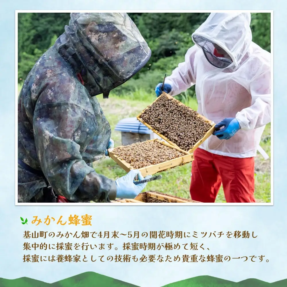 【2か月定期便】みよしのハチミツ3本セット(百花蜜・みかん・もちの木) 220g×3本(計220g×6本) K063426