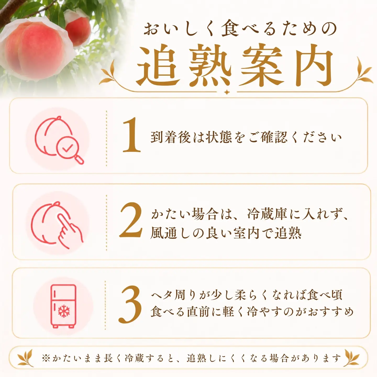 【2027年発送】山梨の桃 約2kg  桃