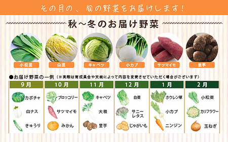 今が旬！お野菜の詰め合わせセット
