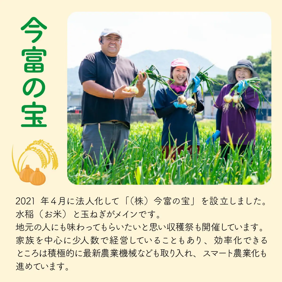 【 先行予約 /11月以降発送】 【令和8年産】 福井県産 コシヒカリ 10kg お米 白米 小浜市 / 今富の宝 [BFCI005]