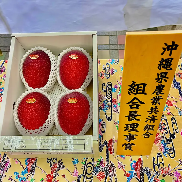 【2026年発送】【令和5年度優秀賞受賞】でーじマンゴーアップルマンゴー2kg(優品) 26-5