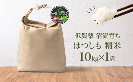 はつしも 精米 低農薬 岐阜県産 はつしも【10kg】【先行予約】