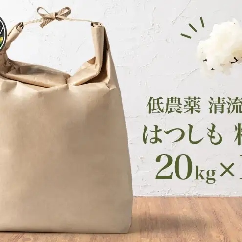はつしも 精米 低農薬 岐阜県産 はつしも【20kg】【先行予約】