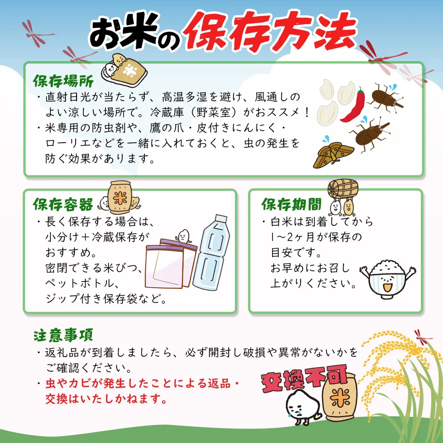 米 無洗米 コシヒカリ 5kg 新米 令和8年産 米 S269