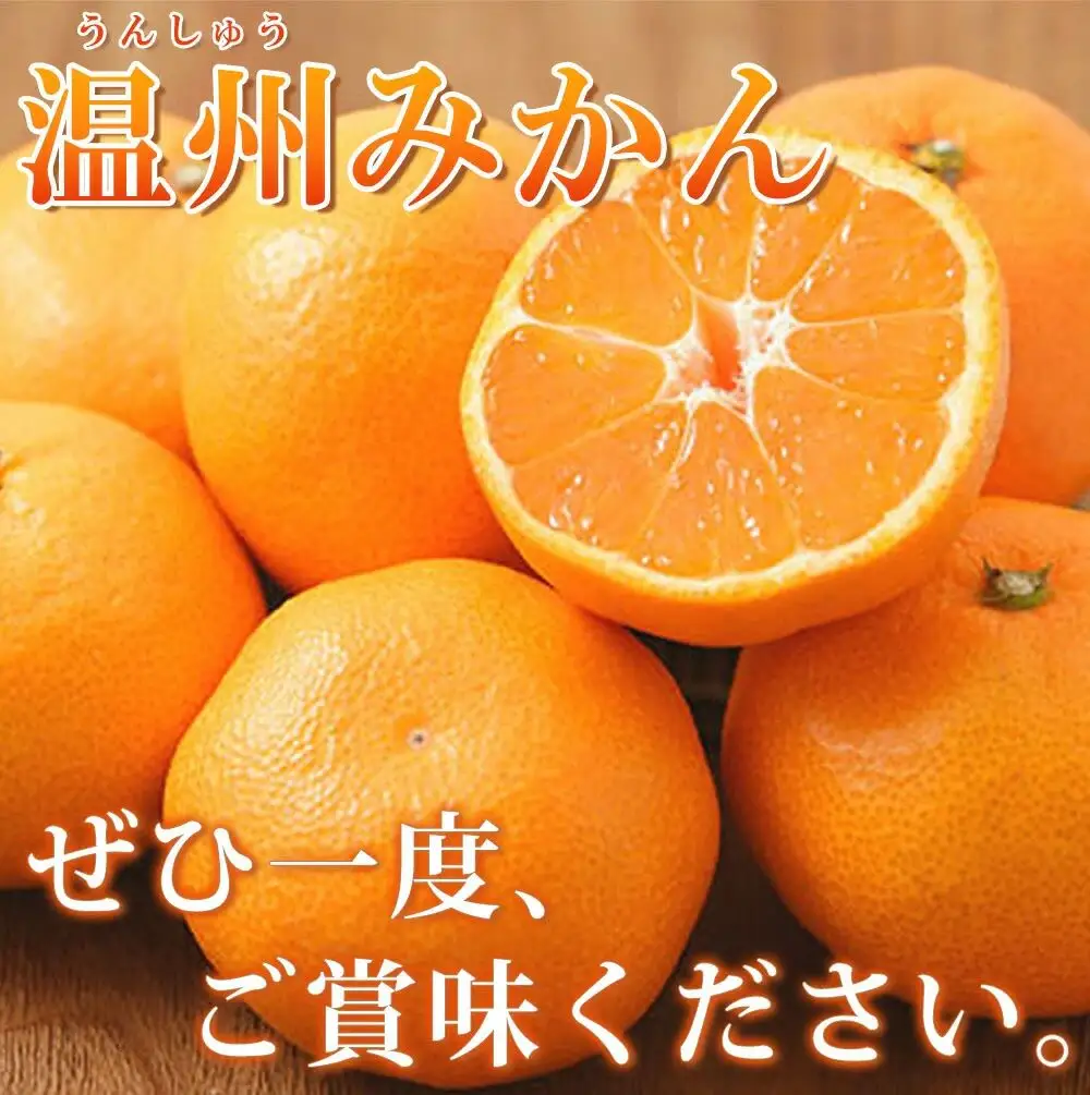 【先行予約】秀品 有田みかん 2kg 2S～Lサイズのいずれか ※2026年11月下旬～2027年1月下旬頃に順次発送予定 / みかん ミカン 蜜柑 温州みかん 柑橘 フルーツ 果物 くだもの 和歌山【uot835A】