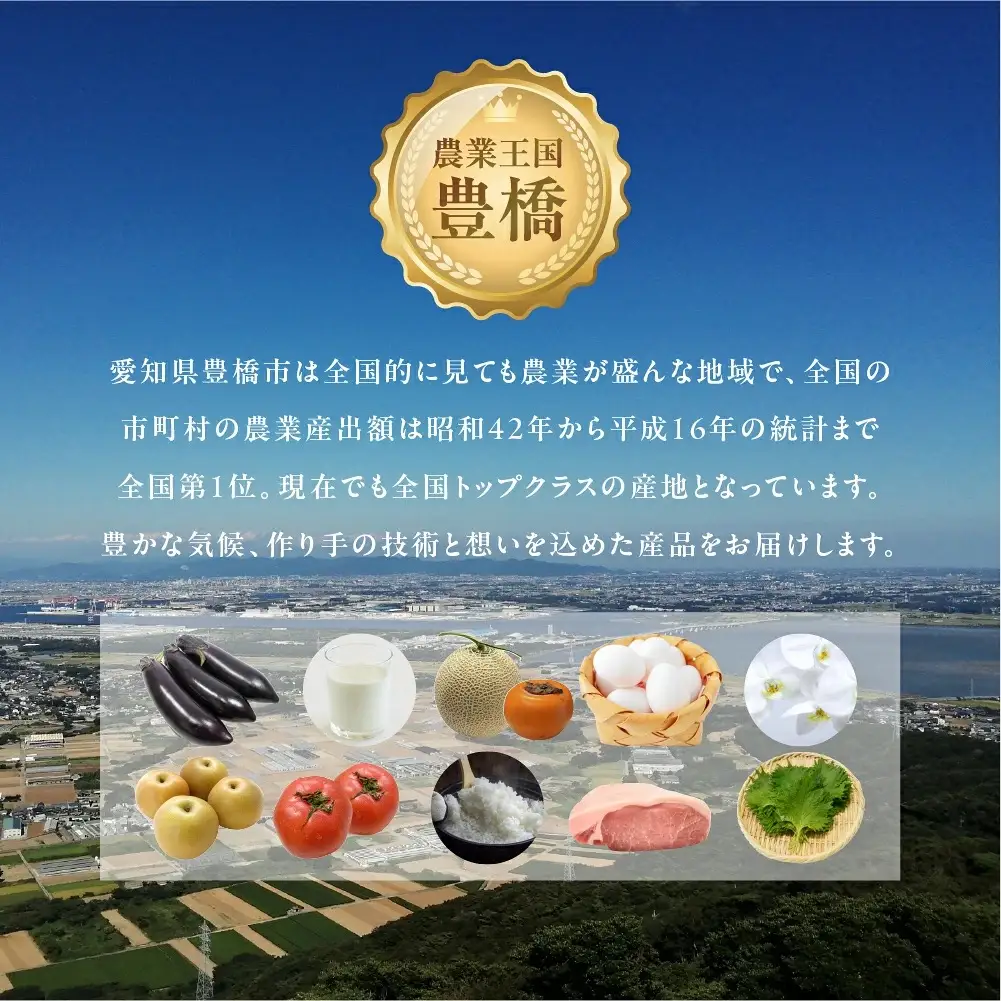 トマト大好き定期便  3回お届け トマト ミニトマト フルーツトマト 食べ比べ 高糖度 プチぷよ ファーストトマト とまと 旬 先行予約 期間限定 お楽しみ トマト定期便 定期便定期便定期便定期便 3回 3ヵ月 希少品種 人気