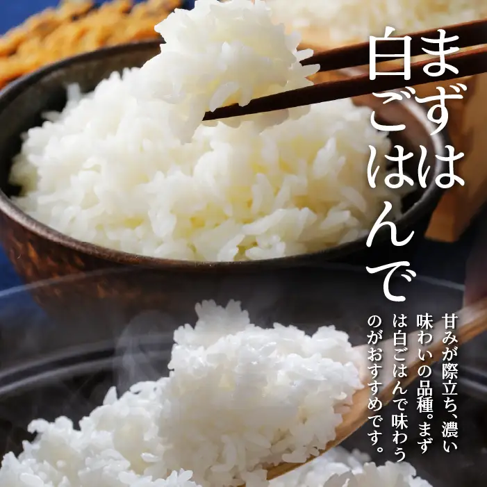 【令和7年産米】【10ヶ月定期配送】（無洗米300g）ホクレンゆめぴりか SBTD151