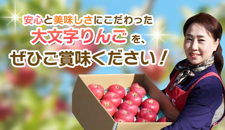 【11月中旬頃より順次発送】〈大玉！〉大文字りんご 大夢（おおゆめ）約5kg (10～12玉) 【2026年11月15日までの受付】【dma004-big】 