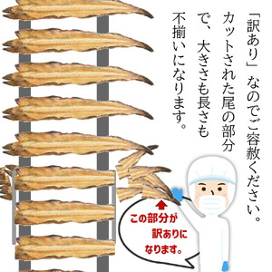 訳あり 穴子 蒲焼き 国産 500g 切り落とし あなご 冷凍 穴子蒲焼 塩竈市 三晃食品