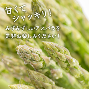 【2027年春配送】北海道南富良野町 アスパラ 1kg MLサイズ 混合 トマト農家 鳥羽農園の作る 新鮮 野菜 産地直送 甘い ジューシー ふるさと納税 送料無料