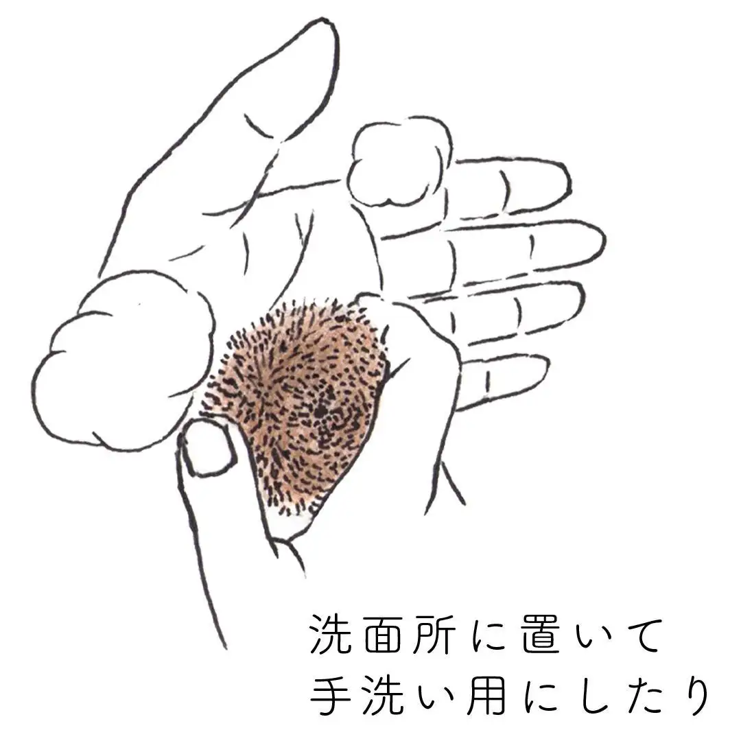 高田耕造商店 しゅろのやさしいたわし まる 小【2個セット】