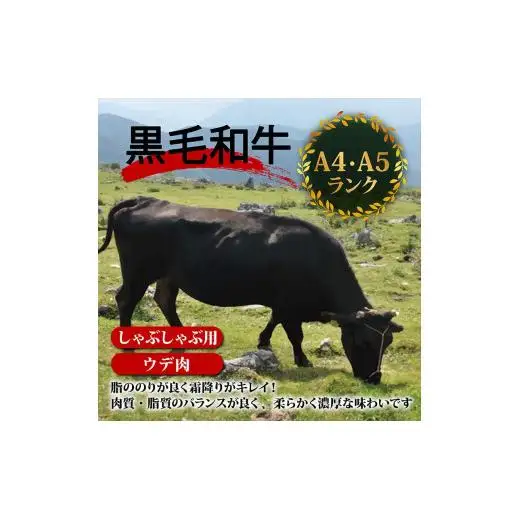 【 しゃぶしゃぶ 】 しゃぶしゃぶ黒毛和牛4ヶ月