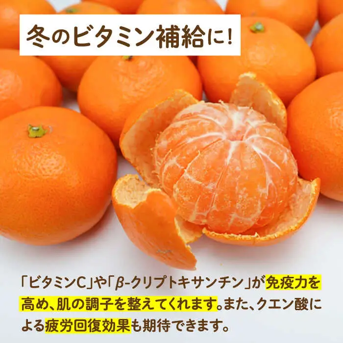 【2026年11月下旬-発送】【高糖度】温州みかん 約3kg / みかん ミカン 蜜柑 果物 フルーツ / 南島原市 / 南島原果物屋[SCV021]