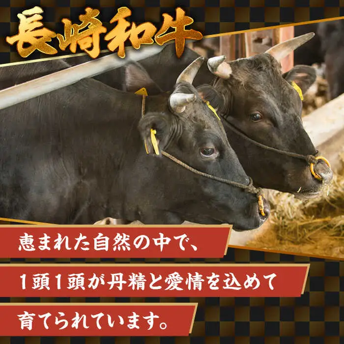【A4ランク以上】長崎和牛 切り落とし 500g / 和牛 国産 牛肉 にく きりおとし 真空 / 南島原市 / ミカド観光センター[SEC003]