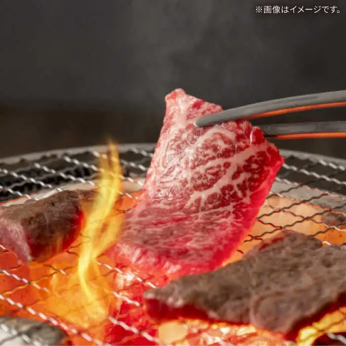 【A4ランク以上】長崎和牛 肩ロース 500g / 和牛 国産 牛肉 にく ブランド牛 真空 / 南島原市 / ミカド観光センター[SEC005]