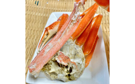 【11月から発送予定】【訳あり】浜茹で 本ズワイガニ 足欠「雄ガニ 3杯（約900g）」1043007 蟹 かに ずわい蟹 ズワイガニ