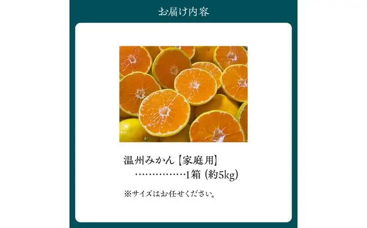 進栄【家庭用】温州みかん約5kg_U68-0132
