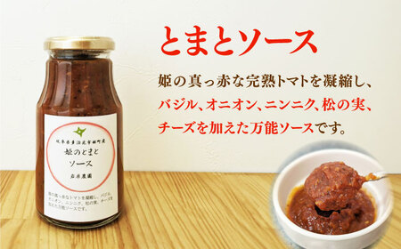 姫のとまと贈り物セット (トマトジュース・トマトケチャップ・トマトソース) 多治見市 / 岩原農園[TFP002]