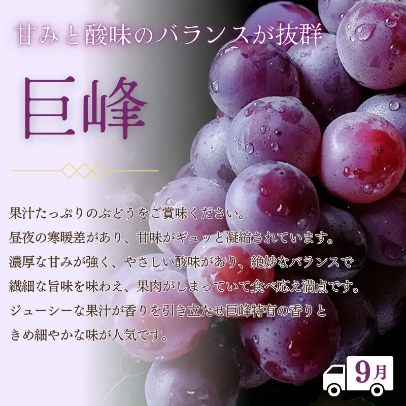 【全3回】紀州和歌山産 旬のフルーツ定期便（いちご・桃・巨峰） 【tkb400】