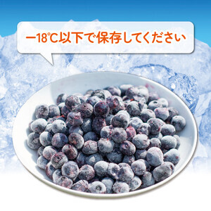 冷凍 ブルーベリー 約1850g 【 ブルーベリー 】
