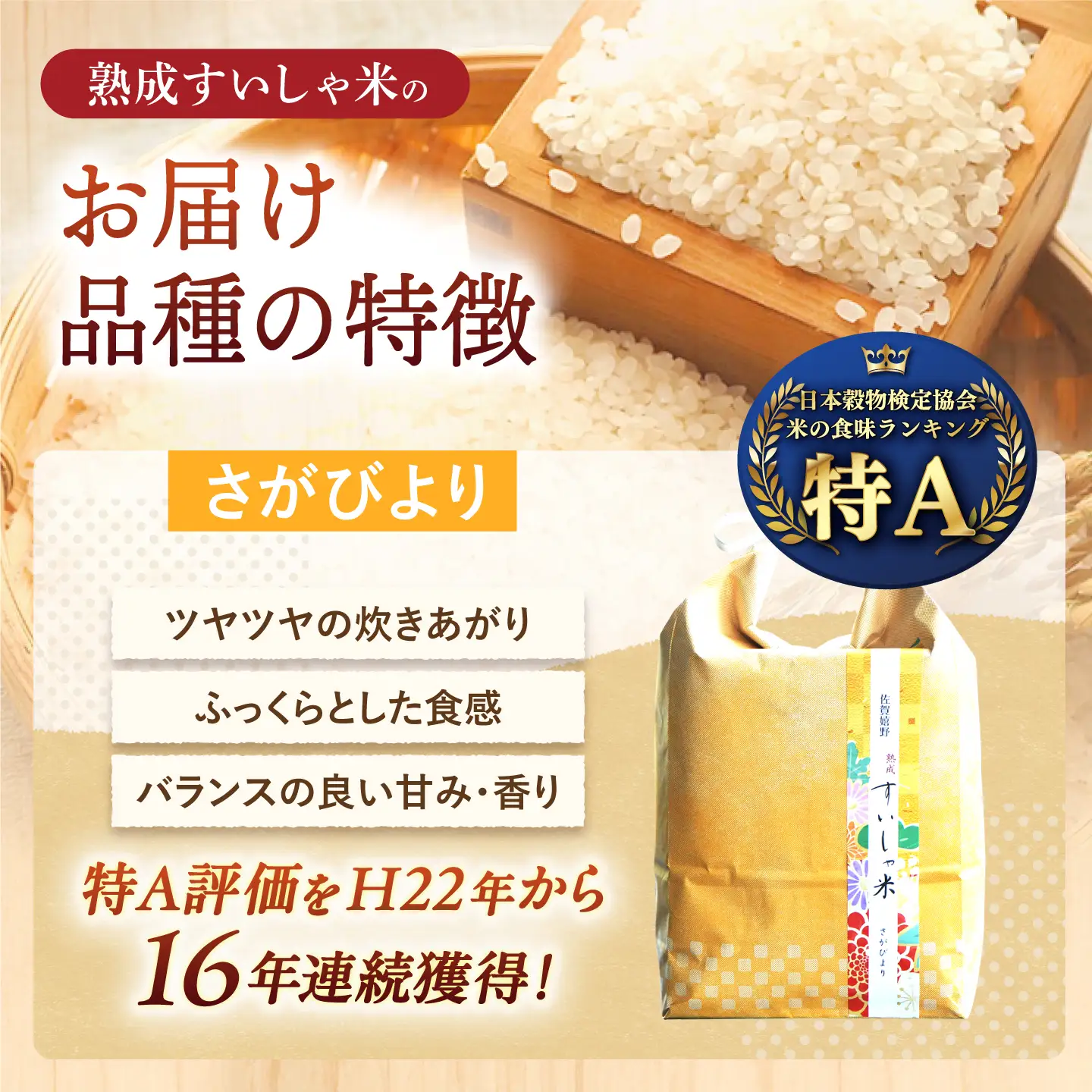 白米 さがびより5kg NAO010 白米