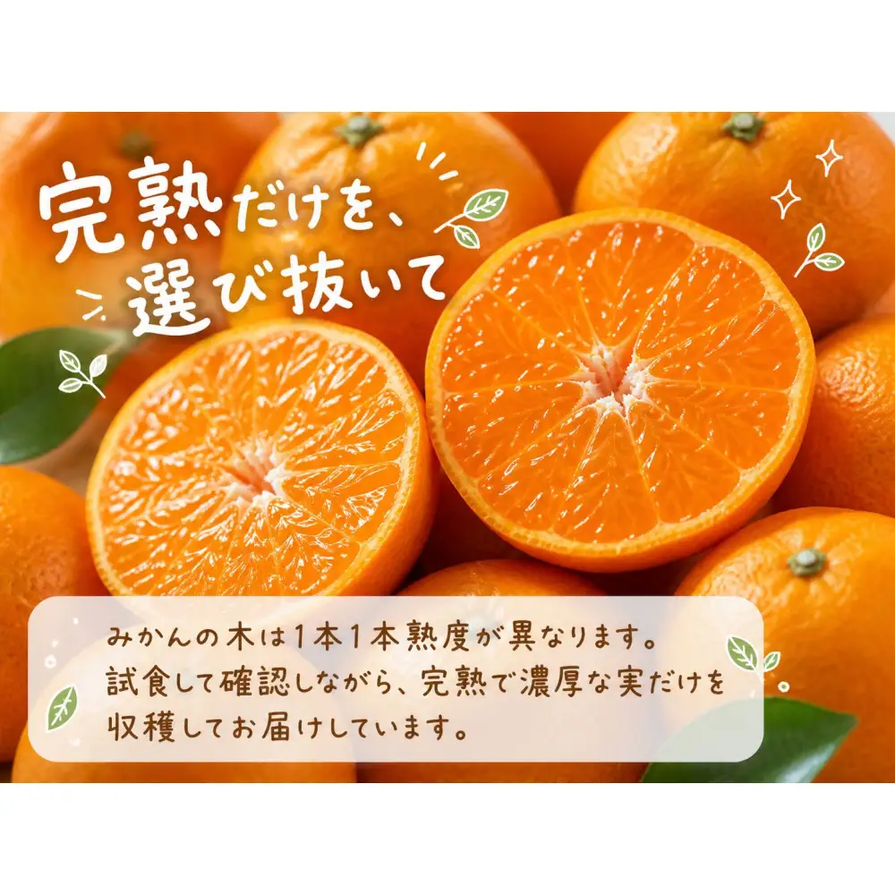有田の小粒みかん 約5kg (S～3Sサイズ混合)［2026年11月下旬以降発送］［先行予約］［UT134］
