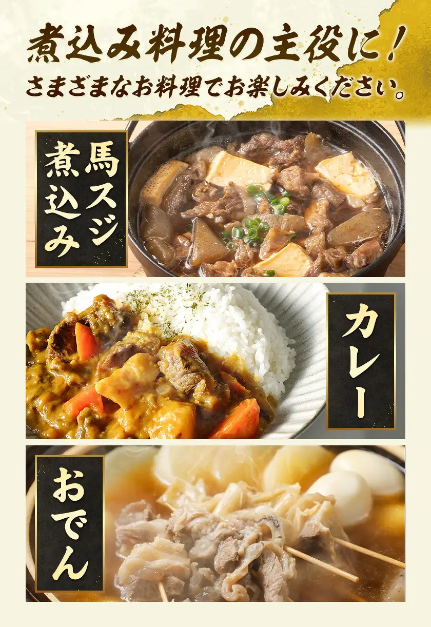馬肉 馬スジ 500g × 2パック 3kg 3ヶ月定期便 五右衛門フーズ 《お申込み月の翌月から出荷開始》 