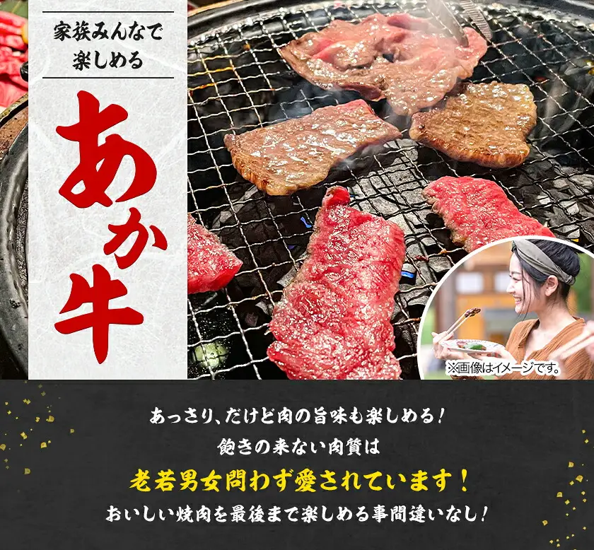 あか牛 焼肉用カット 3kg 6ヶ月定期便 五右衛門フーズ 《お申込み月の翌月から出荷開始》 