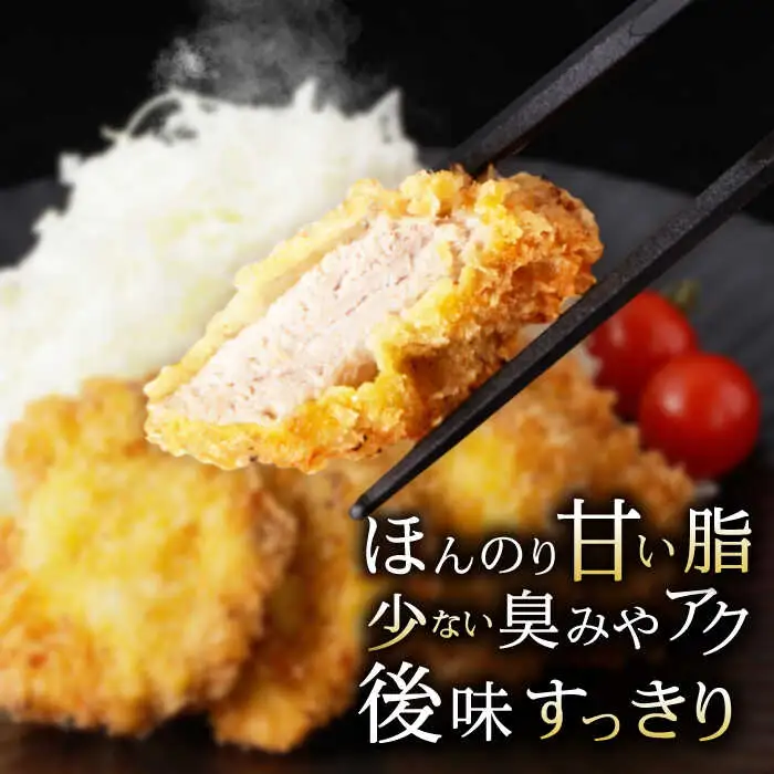 諫美豚 ヒレ肉(カツのみ) 600g / 豚肉 肉 ヒレ ひれ とんかつ トンカツ / 諫早市 / 株式会社土井農場 [AHAD080]