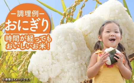 令和7年産 さがびより 白米 5kg（一等米） [HDC001]白米 精米 白米 白米 米 白米 佐賀 白米