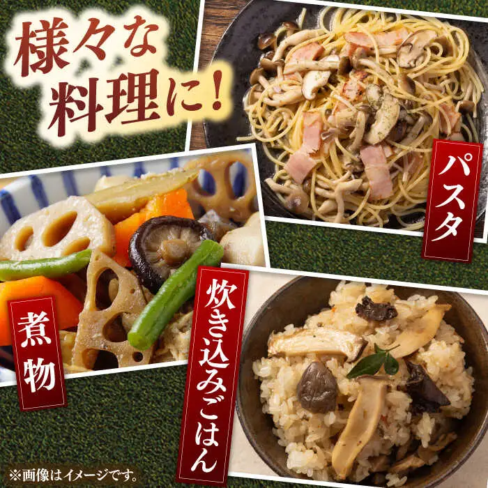 乾燥しいたけ 40g×5袋セット 桂川町/オドラ株式会社 [ADBA005] 国産椎茸 乾燥椎茸 乾燥 椎茸 干し椎茸 天日干し椎茸 乾燥椎茸セット 九州