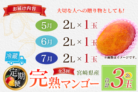 【定期便3回】2027年出荷 2L×1玉マンゴー 完熟マンゴー E218-27