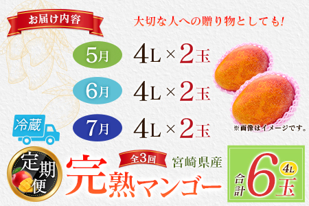 【定期便3回】2027年出荷 4L×2玉マンゴー 完熟マンゴー F142-27