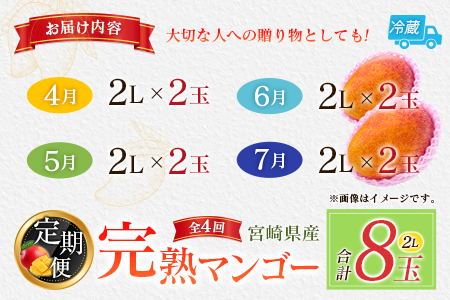 【定期便4回】2027年出荷 2L×2玉マンゴー 完熟マンゴー F143-27