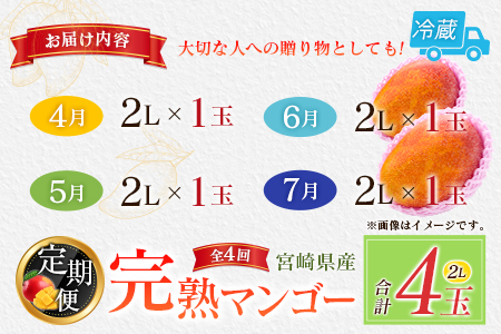 【定期便4回】2027年出荷 2L×1玉マンゴー 完熟マンゴー E223-27