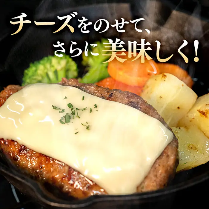 生ハンバーグ120g×6個 常陸牛 100％ 【6ヶ月連続お届け】 514